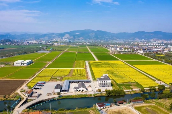 高標準農田典型案例集錦丨“豐景”，在希望的田野