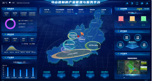 AI+農(nóng)業(yè) | 當(dāng)種子植入“數(shù)智芯片”，馬山縣打造制種基地新標(biāo)桿