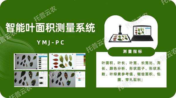 智能葉面積測量系統(tǒng)——秒級快速測葉片，多參數(shù)同步解析，云端數(shù)據(jù)好管理
